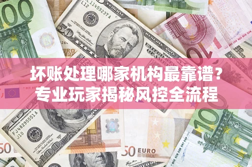 武汉坏账处理哪家机构最靠谱？专业玩家揭秘风控全流程