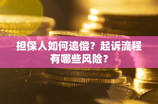 武汉担保人如何追偿？起诉流程有哪些风险？