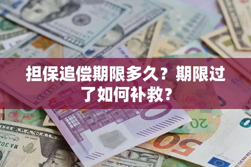 武汉担保追偿期限多久？期限过了如何补救？