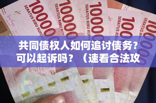 武汉共同债权人如何追讨债务？可以起诉吗？（速看合法攻略）