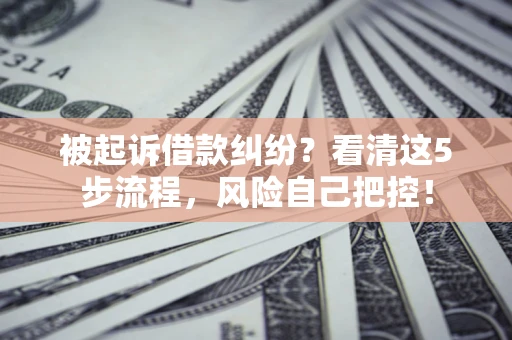 武汉被起诉借款纠纷？看清这5步流程，风险自己把控！