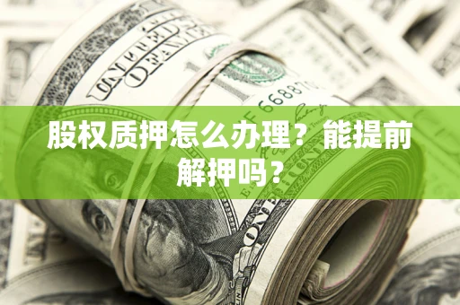 武汉股权质押怎么办理？能提前解押吗？